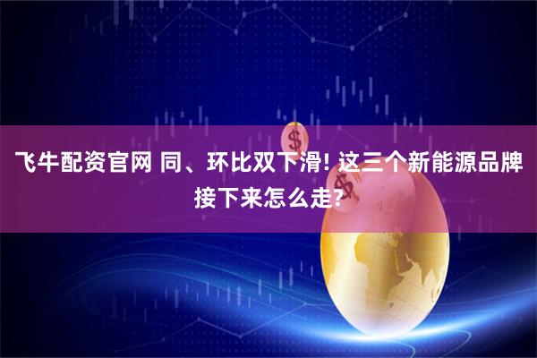 飞牛配资官网 同、环比双下滑! 这三个新能源品牌接下来怎么走?