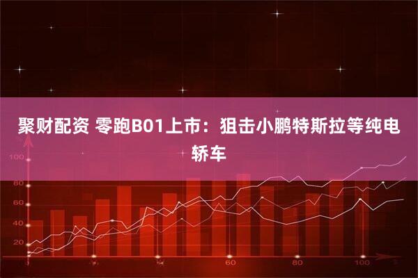 聚财配资 零跑B01上市:狙击小鹏特斯拉等纯电轿车