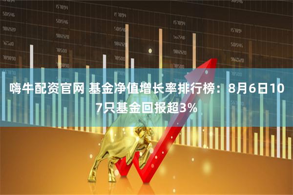 嗨牛配资官网 基金净值增长率排行榜:8月6日107只基金回报超3%