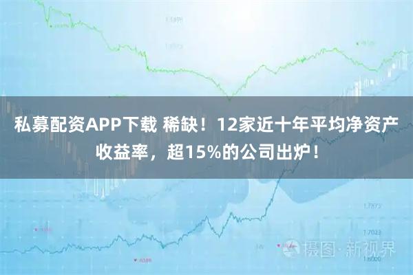 私募配资APP下载 稀缺！12家近十年平均净资产收益率，超15%的公司出炉！